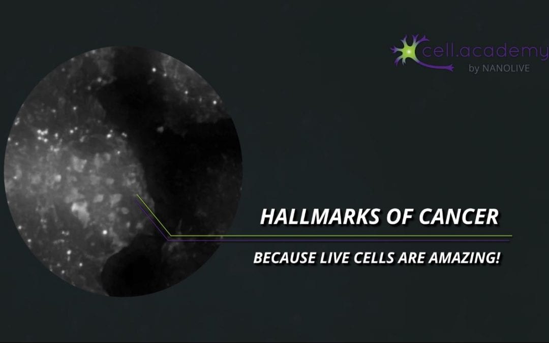 The Hallmarks of Cancer